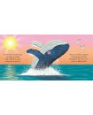 Little Whale – Little Nature Stories Board Book